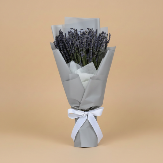 Bouquet of lavender wrapped in light blue paper with a white ribbon on a white background