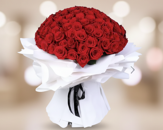 Bouquet of red roses wrapped in white paper with a black ribbon on a white background